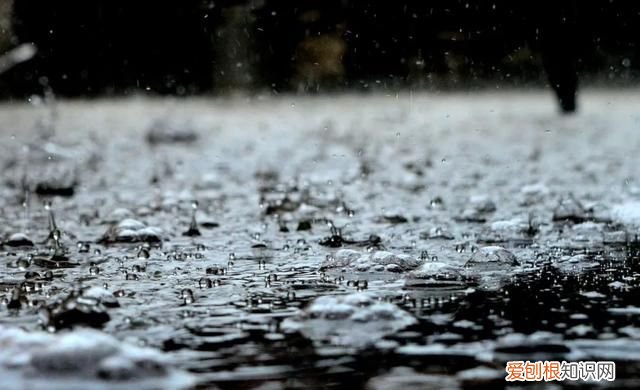 君问归期未有期 巴山夜雨涨秋池作者