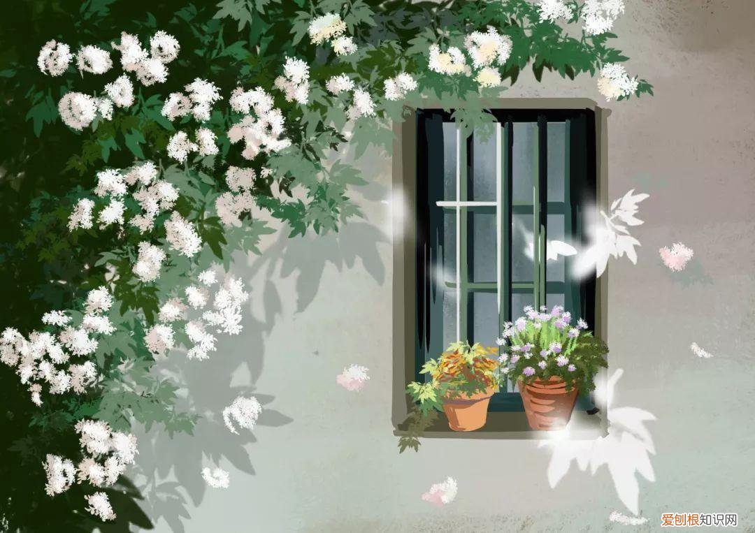 可怜天下父母心—颂母爱古诗赏析 感恩父母的诗