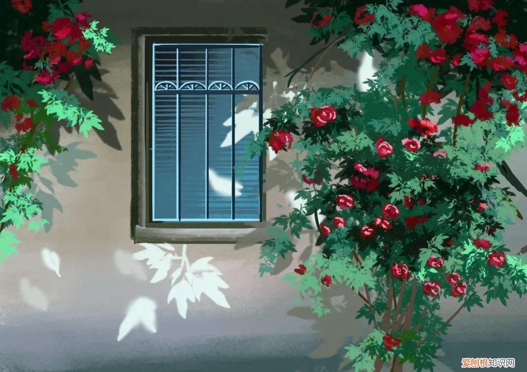 可怜天下父母心—颂母爱古诗赏析 感恩父母的诗