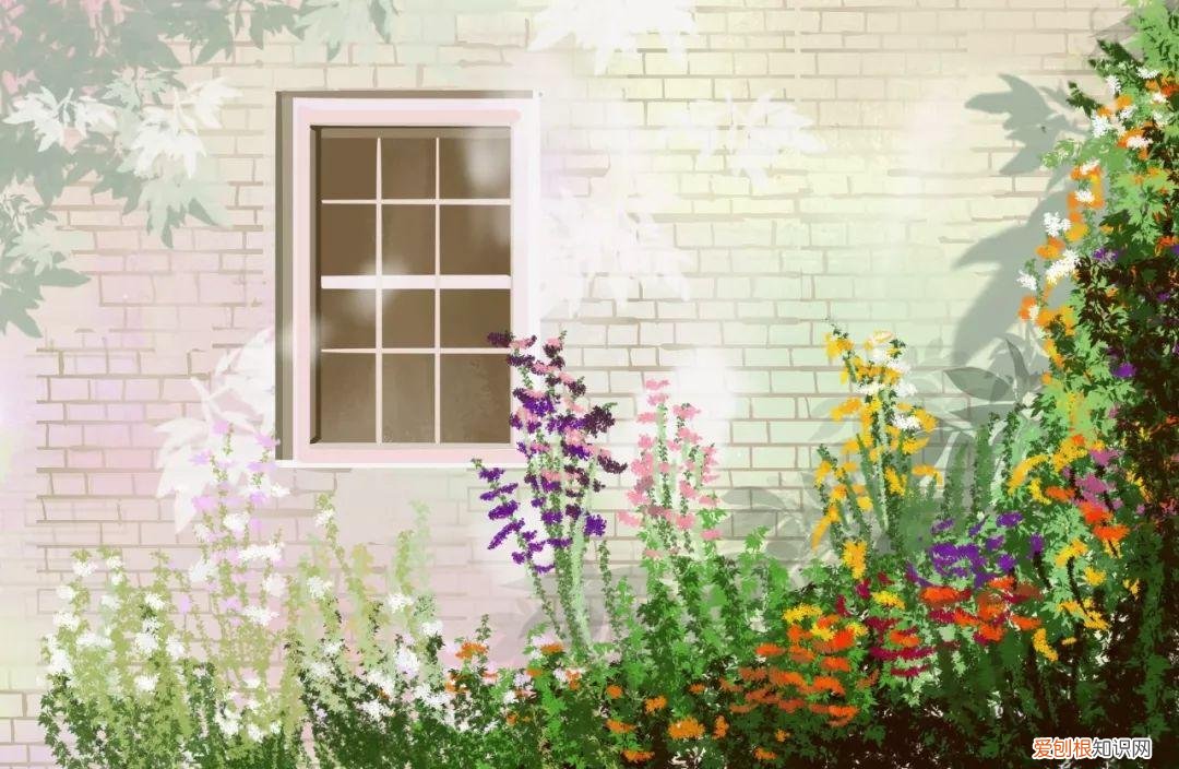 可怜天下父母心—颂母爱古诗赏析 感恩父母的诗