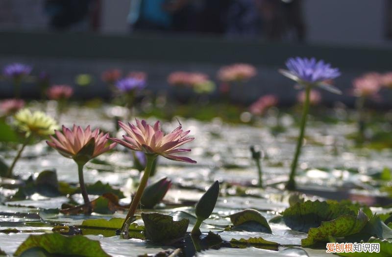 辽代幽州是现在哪里 幽州是现在的什么地方