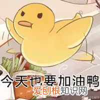 床旗可以拿掉吗 酒店床上床旗是干嘛用的