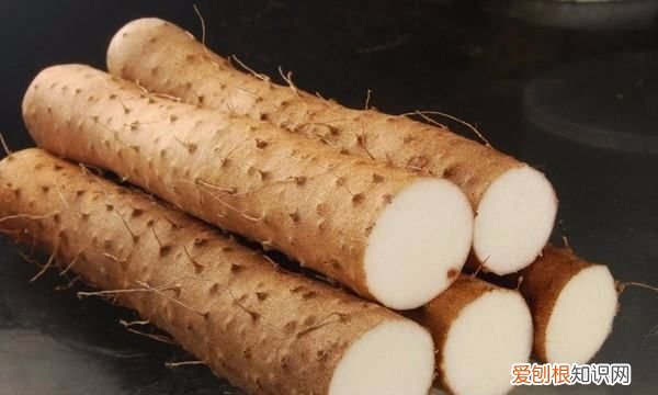 如何养肾固本归元，如何做到固本培元