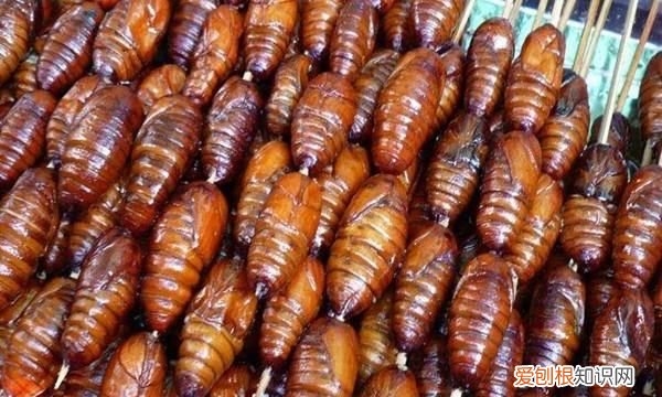 如何养肾固本归元，如何做到固本培元