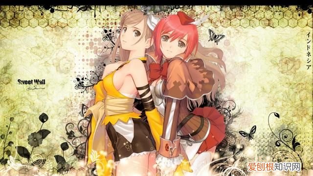 光明之风人物介绍