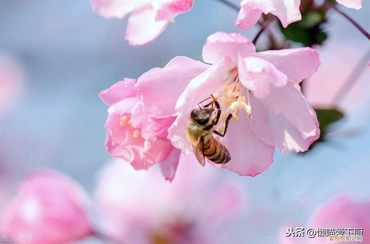 蜂蜜真假鉴定方法,一杯水就能区分真假蜂蜜了