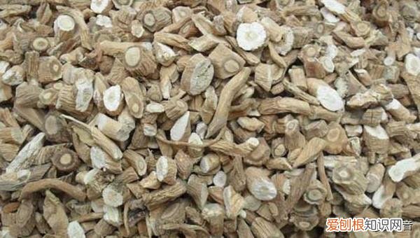 国家扶持的种植药材有哪些 一年亩收入5万的药材