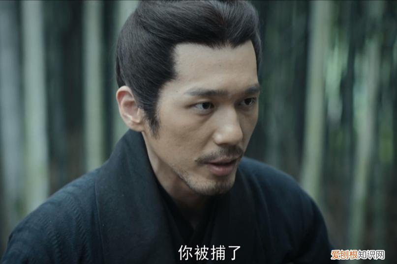 《风起陇西》 风起陇西大结局解析