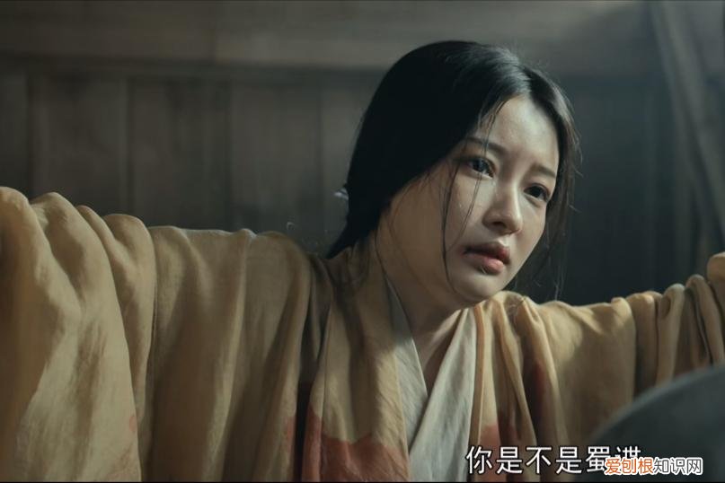 《风起陇西》 风起陇西大结局解析