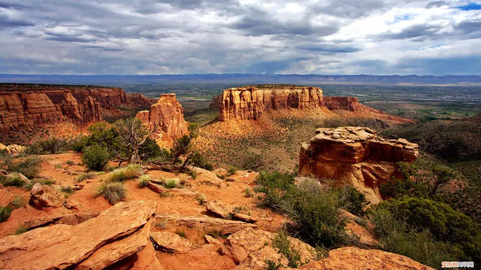 在人类身上也有堪比猛兽的攻击性部位？实战起来能吓自己一跳