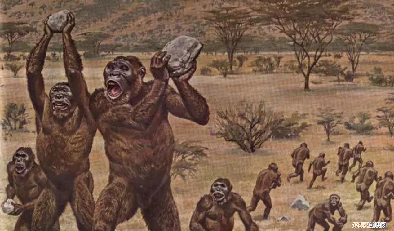 在人类身上也有堪比猛兽的攻击性部位？实战起来能吓自己一跳