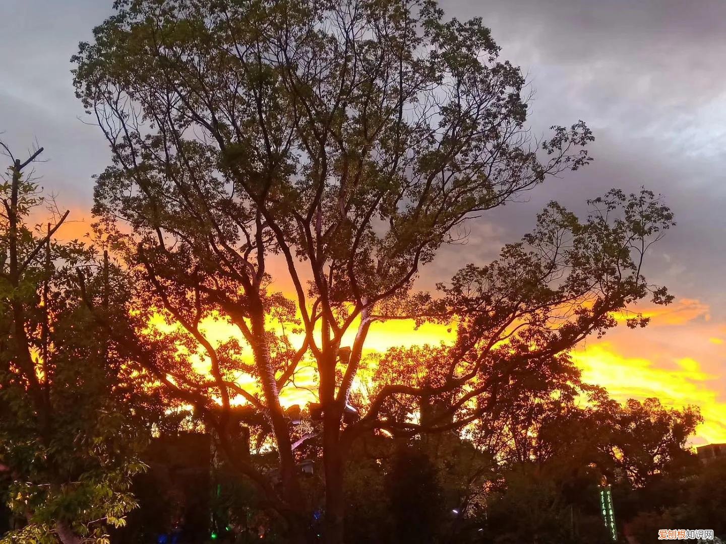 和闺蜜分别的歌曲 分别的歌曲