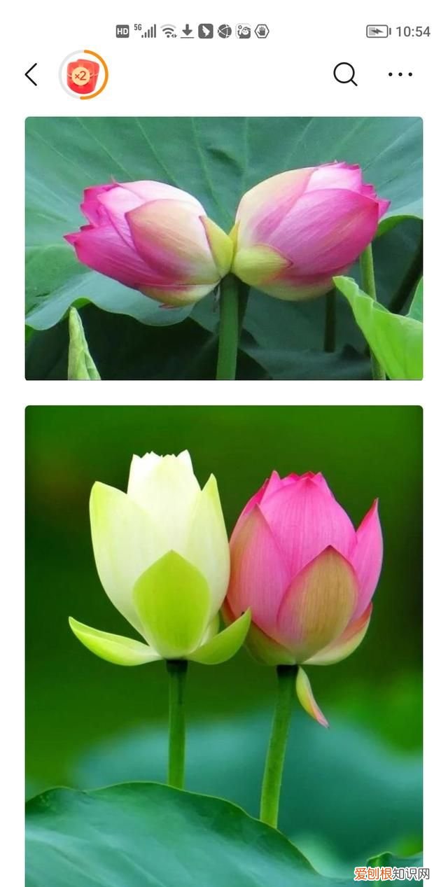 霸气的考研小组名字，选导师是大组还是小组好