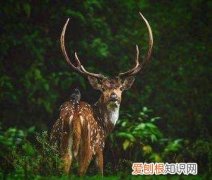 世事无常下一句，世事无常下一句是什么