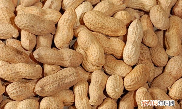减肥为什么不建议吃花生 减肥不建议吃花生的原因