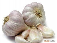 绿蒜是碱性还是酸性，蒜是碱性食物还是酸性食物 蒜是碱性食物