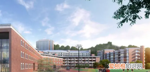 专科批什么意思，专科批和高职专科批有什么不同吗