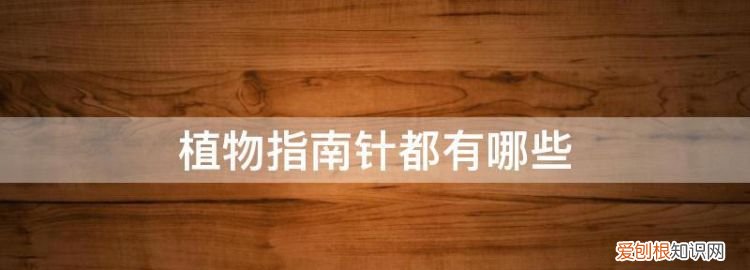 自然指南针是什么 自然指南针的介绍