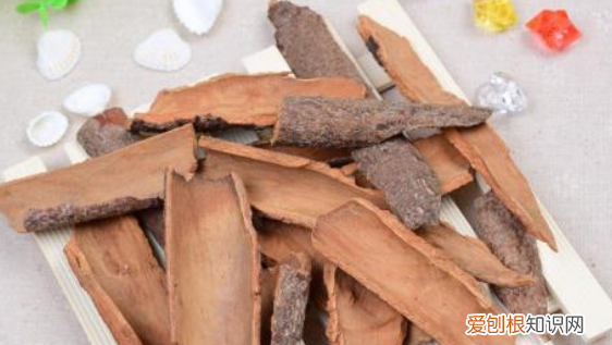 桂树剥皮还能活，桂树剥皮还能活 桂树剥皮是否还能活