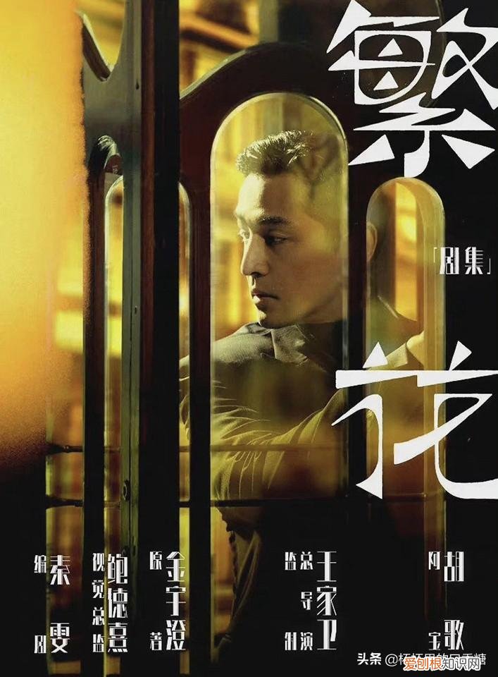 以家人之名电视剧主要演员