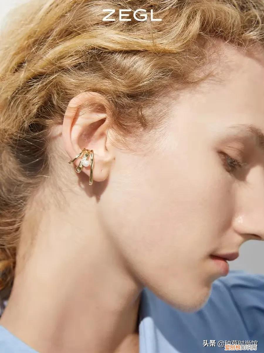 范思蓝恩和范思蓝恩旗舰店 范思蓝恩是什么档次的牌子