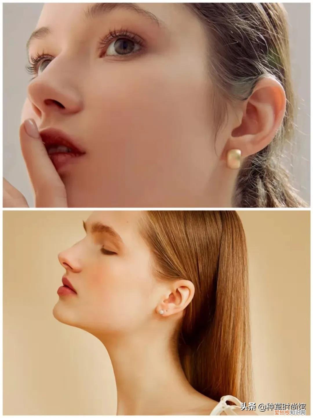 范思蓝恩和范思蓝恩旗舰店 范思蓝恩是什么档次的牌子