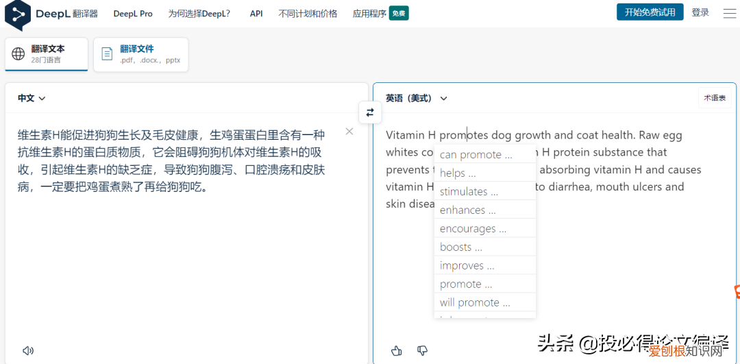 地表最强翻译神器推荐 翻译器