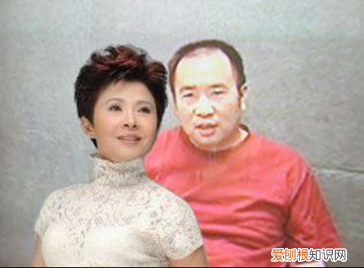 董文华为什么身败名？董文华为什么退出歌坛