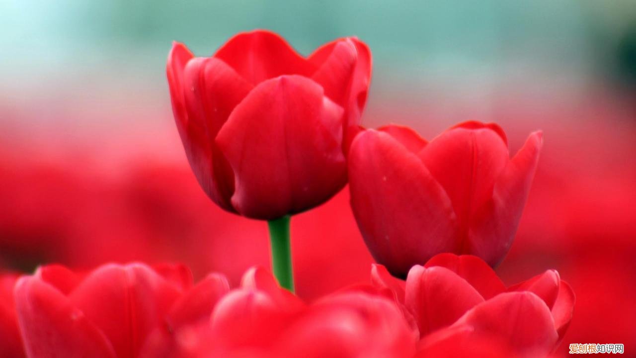 动名词的用法大全 动名词的用法