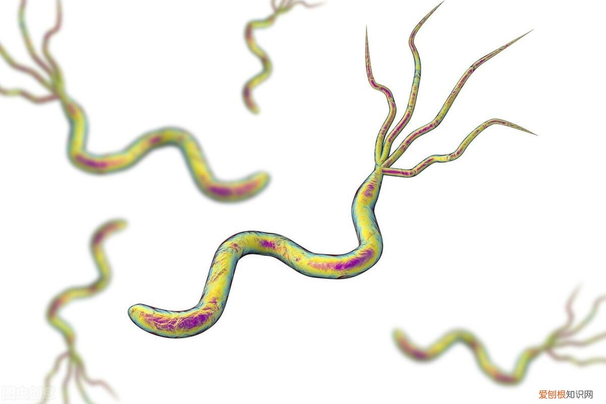 生病的时候不能吃发物,发物到底是什么? 发物是指哪些食物