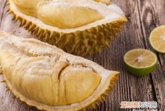 喝酒后多长时间能吃榴莲 喝完酒之后多久能吃榴莲