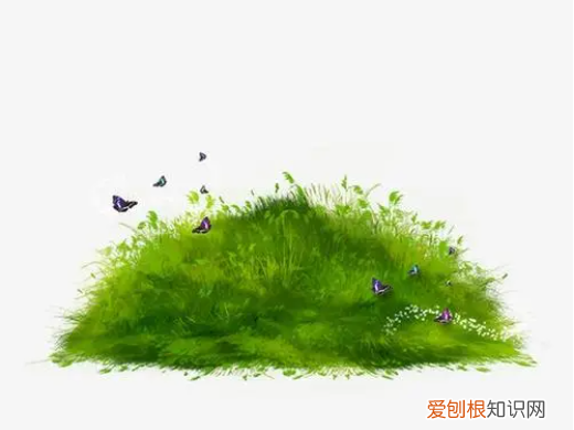 草坪怎么画简单好看，草地怎么画简单又好看