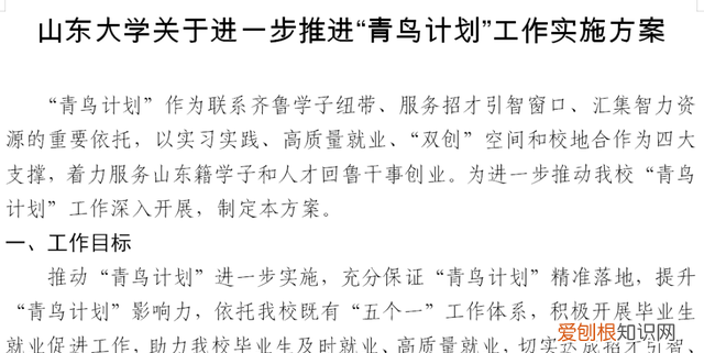 山大版青鸟计划