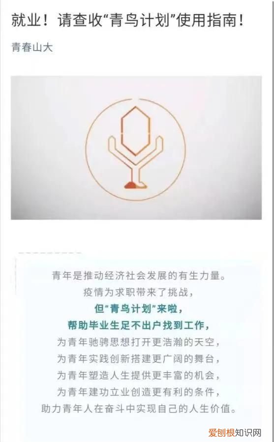 山大版青鸟计划