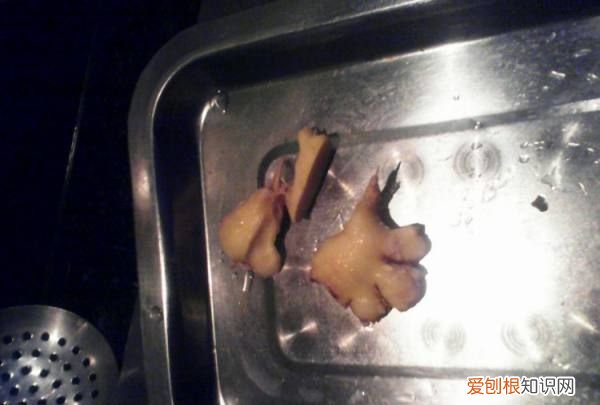 水煮鱼头的做法和步骤，水煮鱼头怎么做才好吃