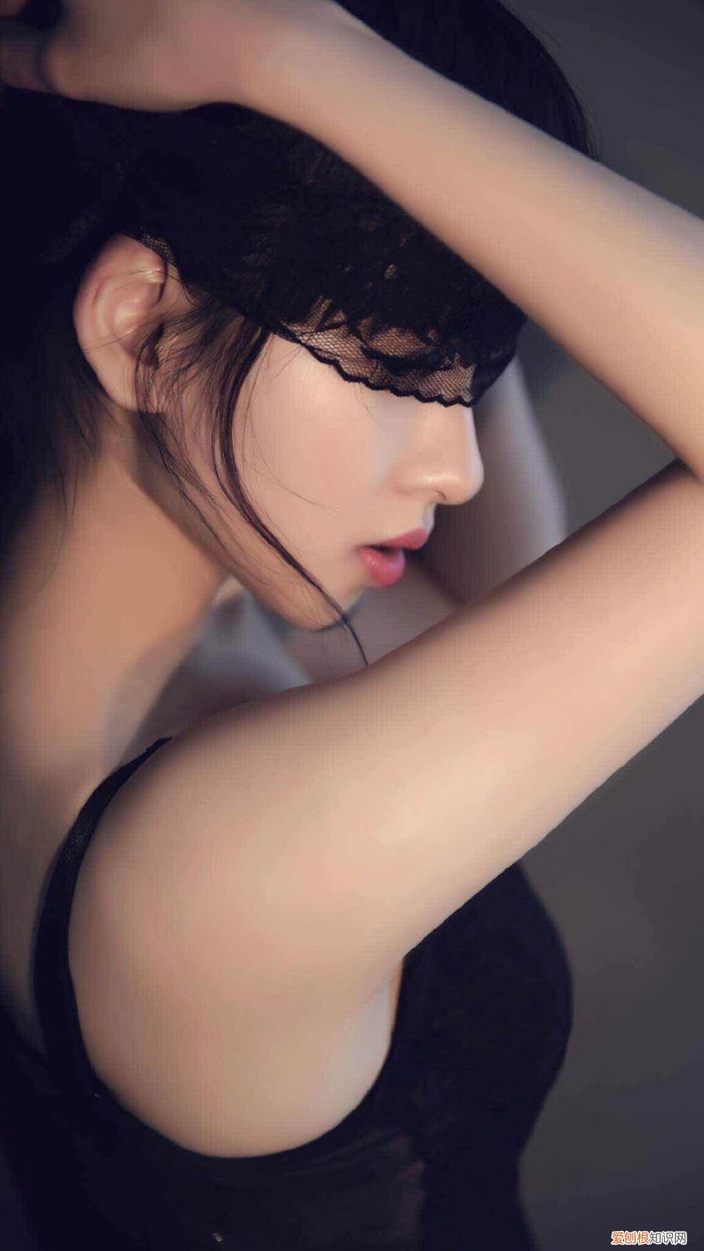 枸杞菊花茶怎么泡才正确 菊花茶泡多久