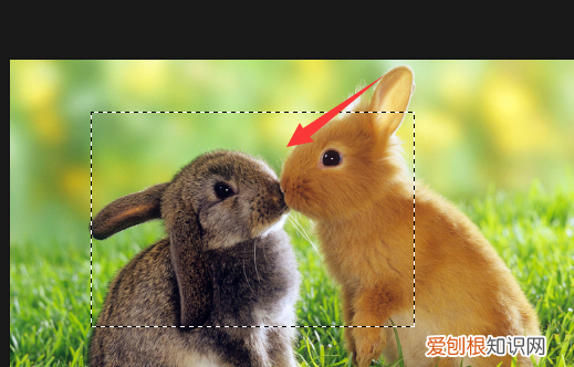 ps羽化边缘怎么变清晰,PS中如何才可以羽化边缘