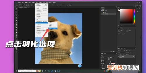 ps羽化边缘怎么变清晰，PS中如何才可以羽化边缘