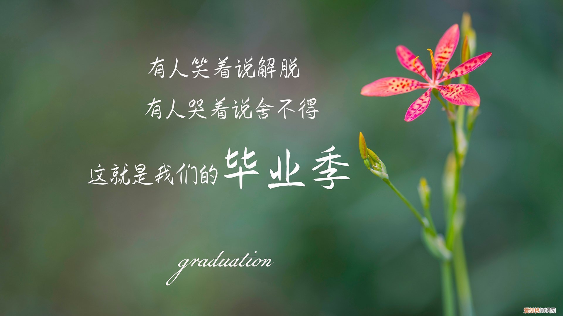 轮胎先换2个还是4个 轮胎保质期多久