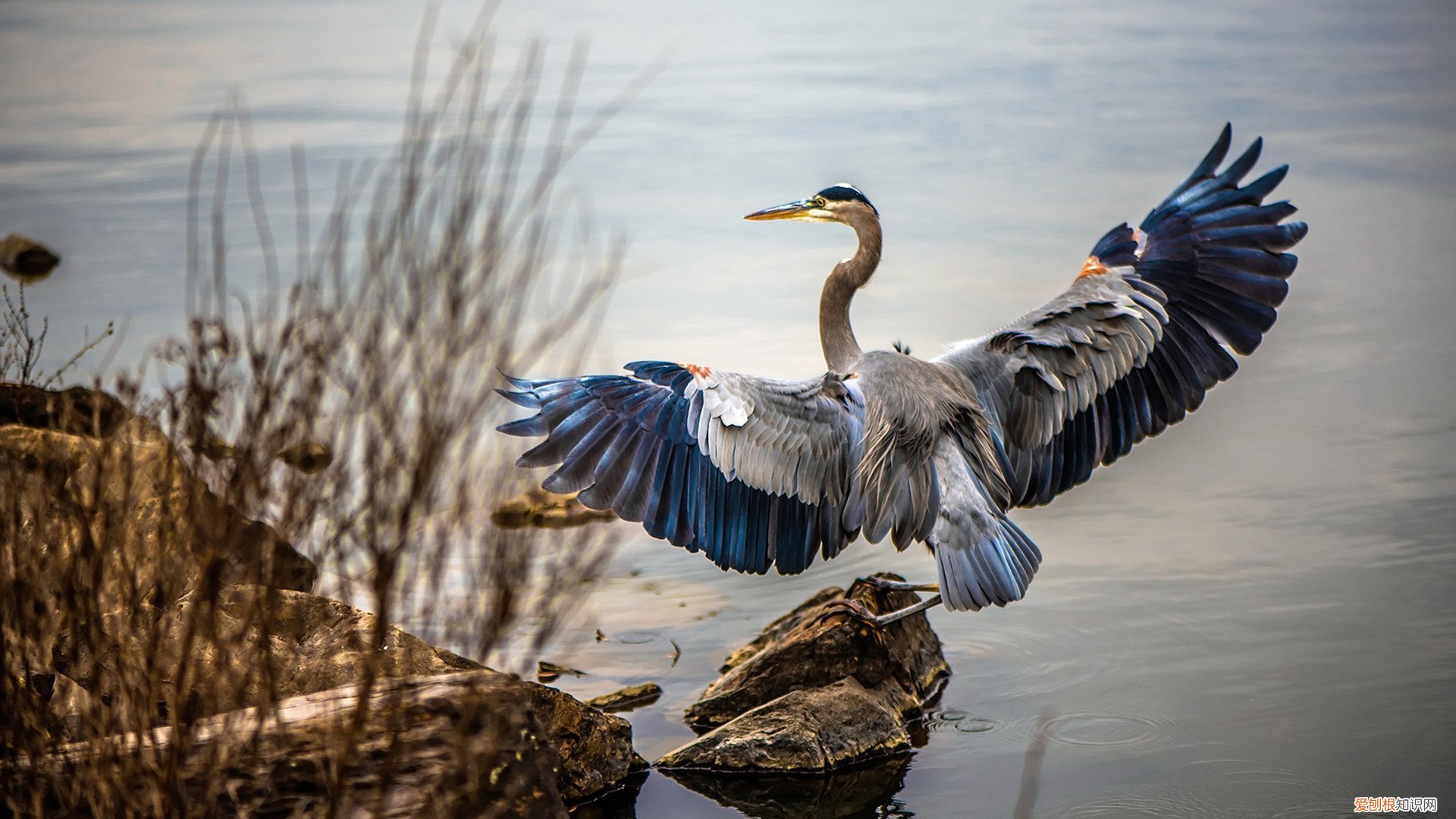 十大奢华贵妇品牌 奢侈化妆品品牌