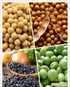 豆类有哪些 豆子的种类介绍，豆制品都包括哪些土豆和花生豆属于