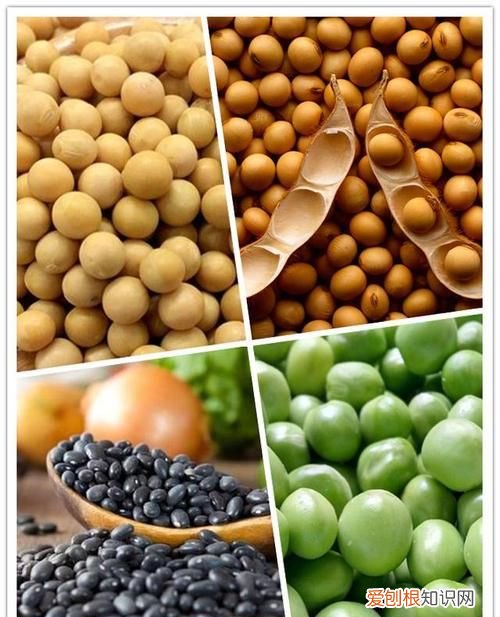 豆类有哪些 豆子的种类介绍，豆制品都包括哪些土豆和花生豆属于