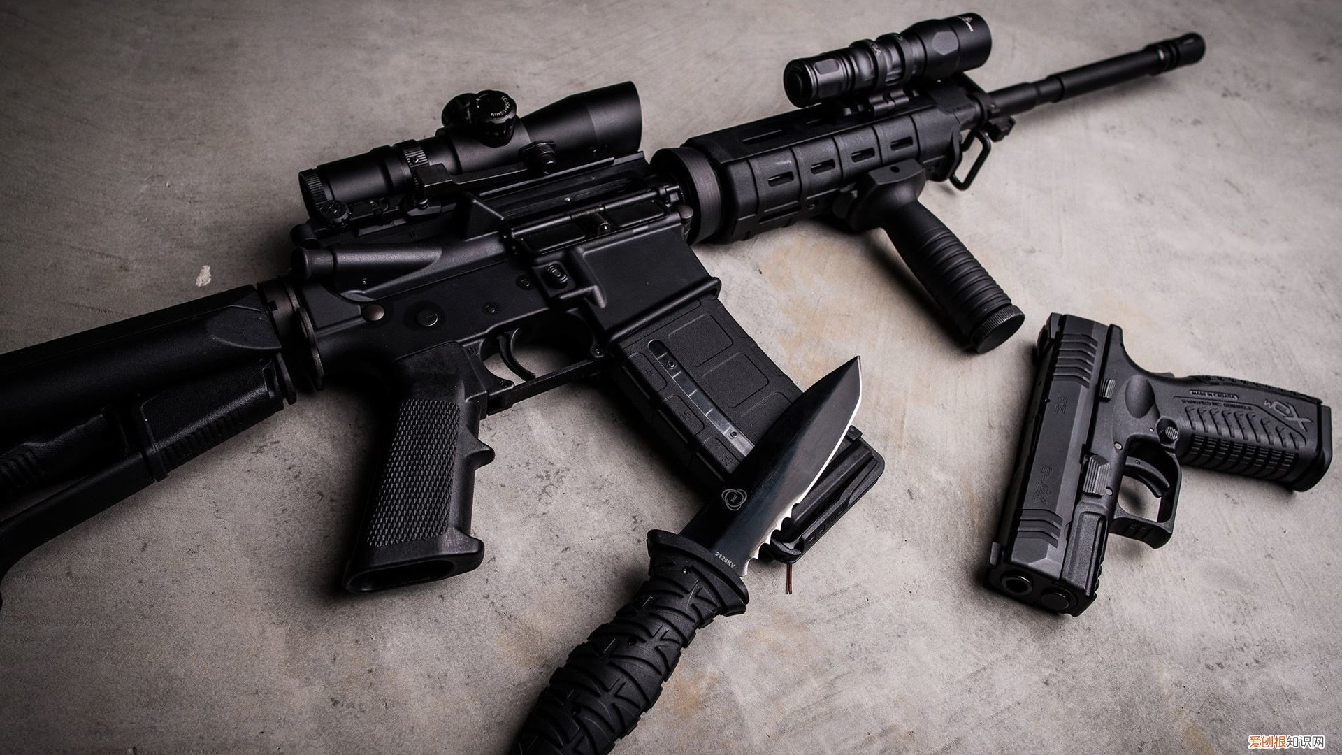 隔水蒸鸡蛋蒸多久 蒸红薯蒸多久