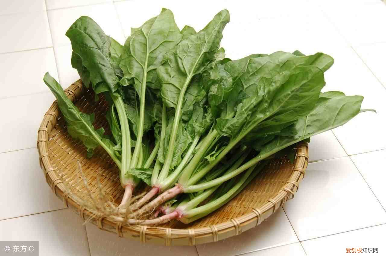 不同年龄段缺钙有什么症状 缺钙的症状有哪些