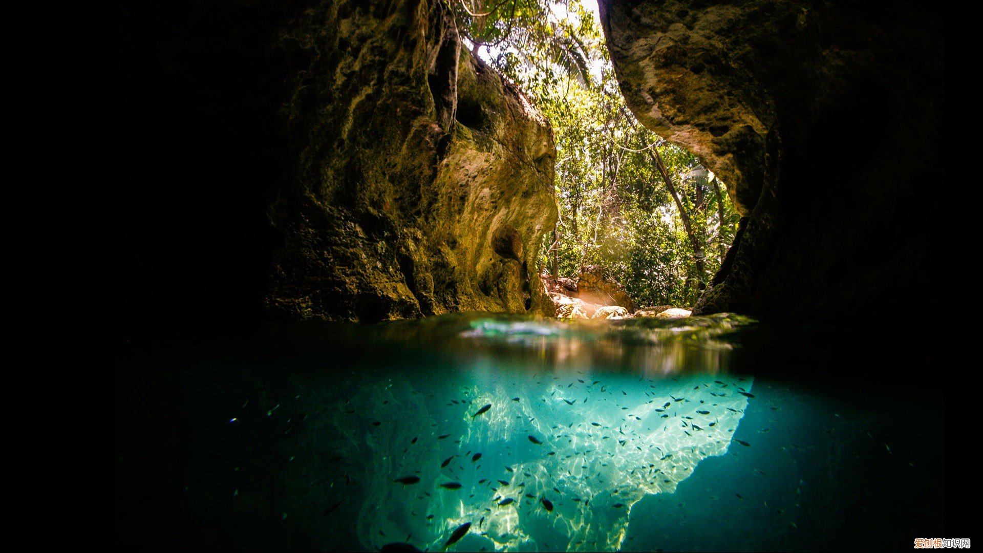 甲醛捕捉剂特点 甲醛捕捉剂