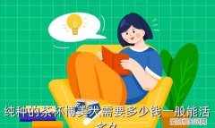 纯种博美犬茶杯博美,茶杯母博美犬能跟普通博美繁殖么