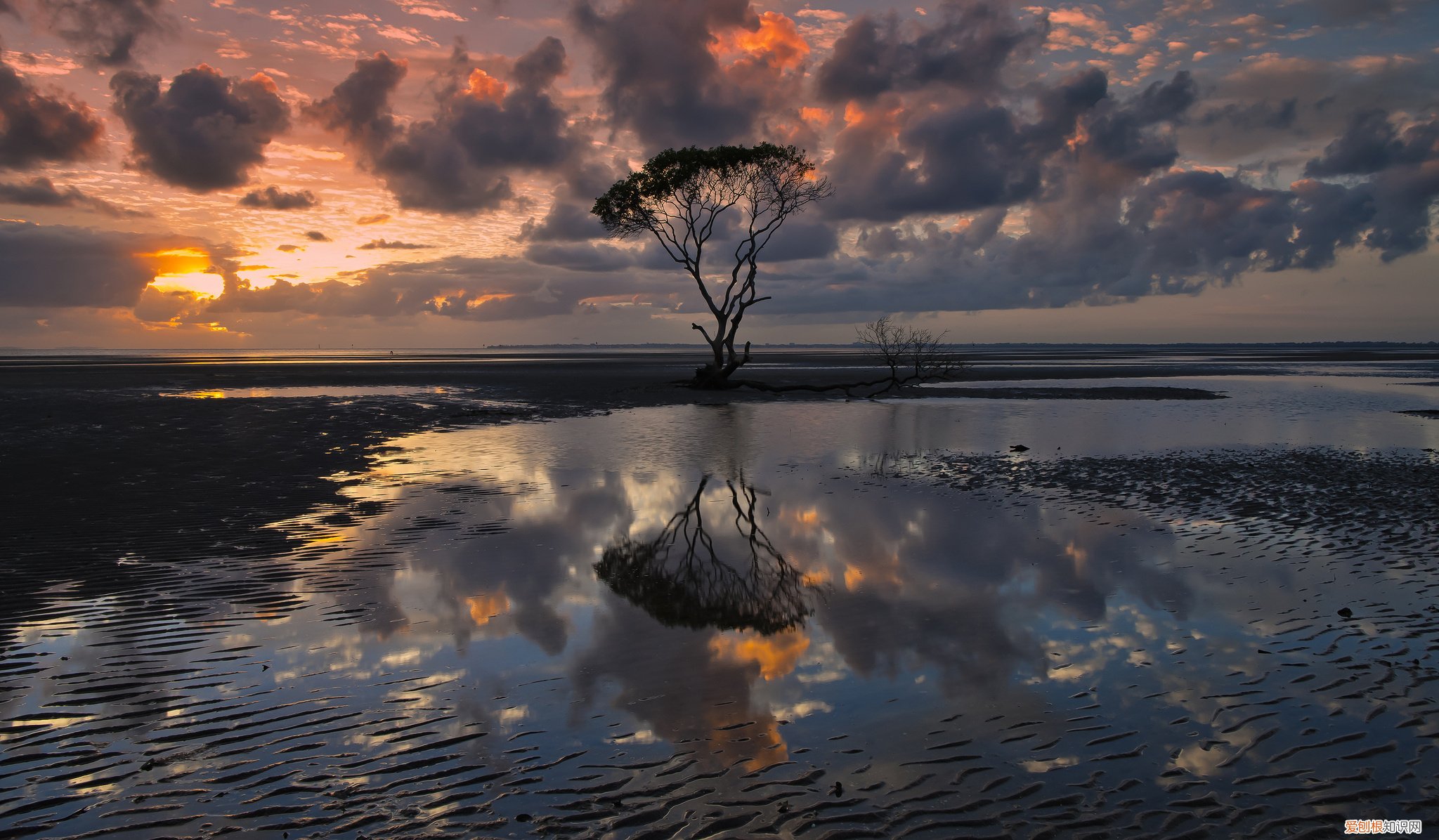 饮食养生的要点有哪些？ 食疗与养生