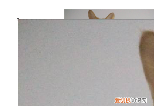 两张合成一张怎么做的，如何才能把两张合成一张