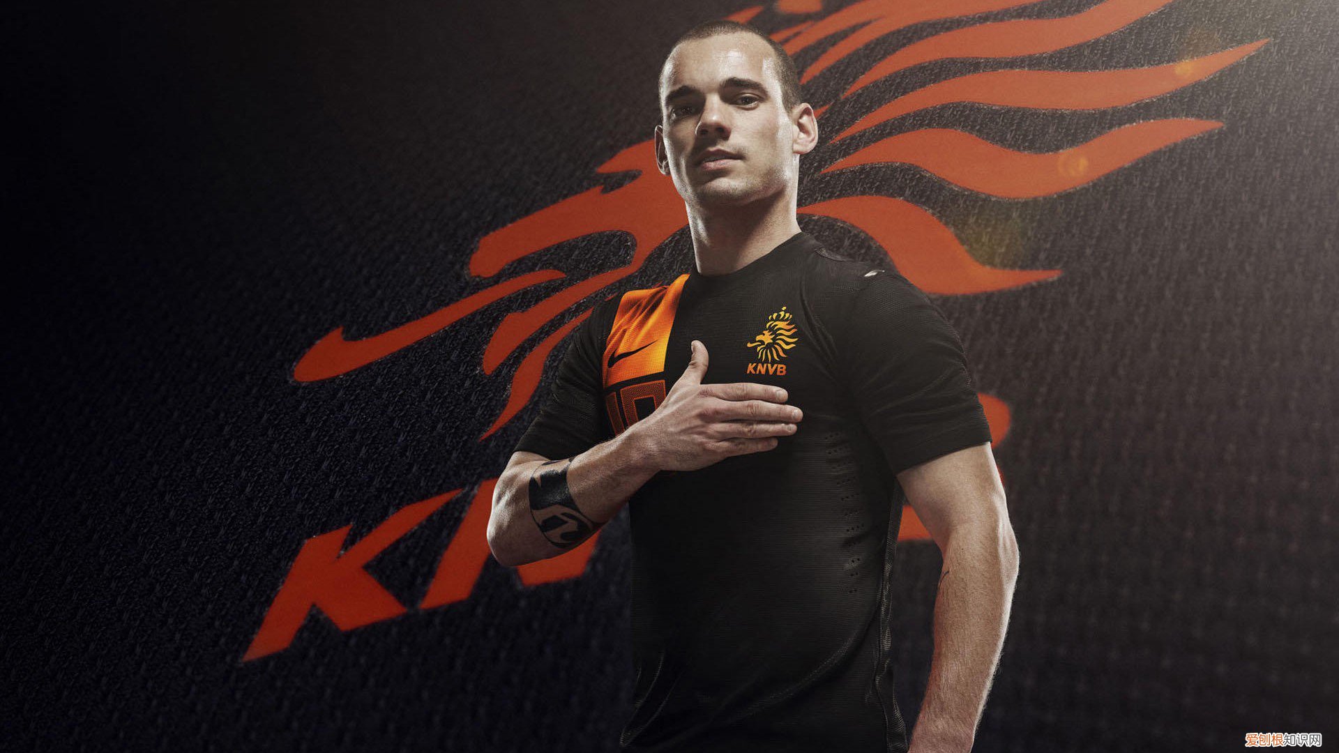 护理学类专业全息解读 护理专业描述