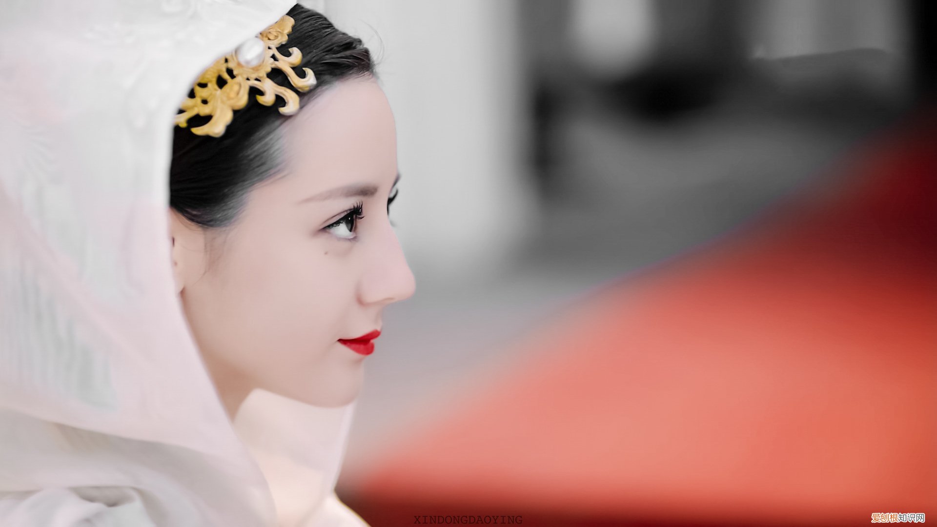 打印机故障 部分程序无法打开和卸载 佳能打印机故障